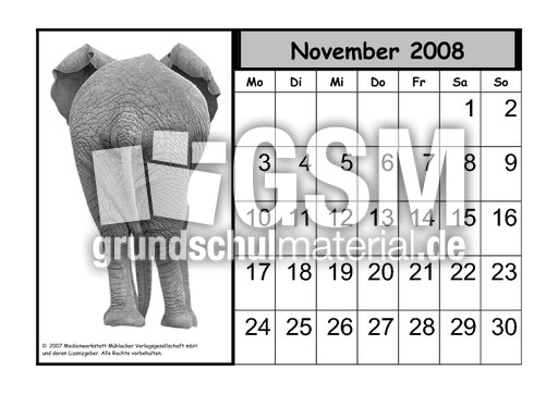 Tier-Kalender-08-11.pdf